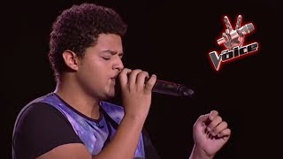 The Voice  Best Blind Auditions Worldwide №1 Reupload [upl. by Eseenaj]