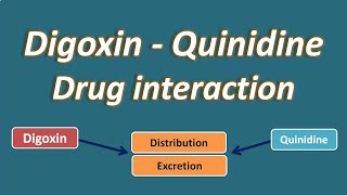 Digoxin and Quinidine drug interaction [upl. by Dyob]