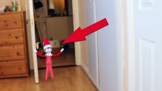 TOP 5 THE ELF ON THE SHELF VIDEOS 🎄Elf on the Shelf CALLING VIDEOS [upl. by Yadnus645]