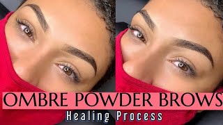 Ombré Brows Healing Process  1 Month After😻 [upl. by Ihcekn145]