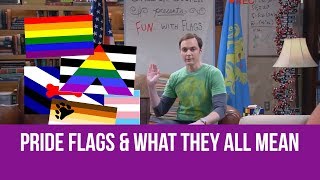 Pride Flags and What They All Mean [upl. by Daffi]