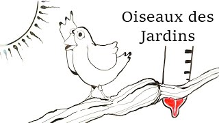 Oiseaux des Jardins [upl. by Yalahs855]