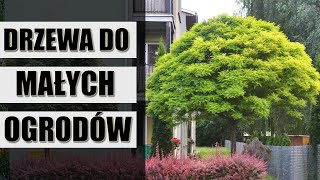 Najładniesze drzewa do małych ogrodów [upl. by Luci591]