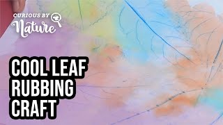 Leaf Rubbings Kids Craft Nature Craft [upl. by Ailongam350]