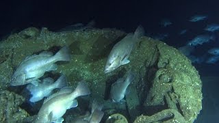 Exploring a UBoat wreck off North Carolina [upl. by Donni]