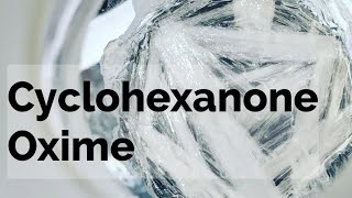 Cyclohexanone Oxime Organic Synthesis [upl. by Robinia]