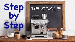 Breville DeScale  Step by Step Instructions [upl. by Eirehc26]