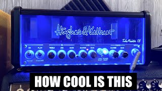 Hughes amp Kettner Tubemeister 18 Review Tone Tips amp More [upl. by Cirala285]