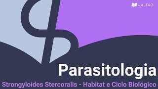 Parasitologia Strongyloides Stercoralis  Habitat e Ciclo Biológico [upl. by Olcott617]