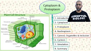 Cytoplasm and Protoplasm with Dr Sohail Jamil Qureshi  MDCAT Biology [upl. by Anitsud]