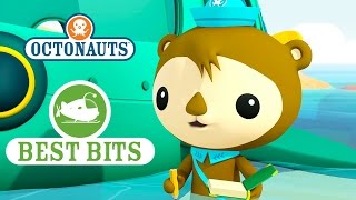 Octonauts Shellingtons Best Bits 2 [upl. by Katherin79]