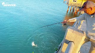 Catch the BIGGEST fish at the Pier 3 SIMPLE METHODS for Pier Fishing [upl. by Landahl]