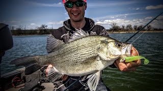 Understanding White Bass – Fishing Edge TV [upl. by Neelyhtak]