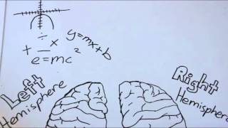 Roger Sperrys Split Brain Experiment [upl. by Yunfei]