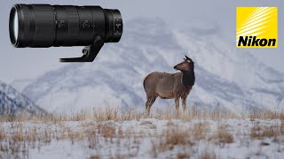 Nikon NIKKOR Z 70200mm F28 VR S Review  Sample Photos and Videos [upl. by Aisats358]