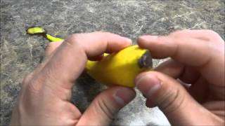 How To Peel A Banana PROPERLYTutorial [upl. by Solita157]