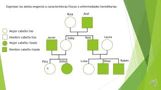 Arbol genealogico con fenotipo [upl. by Anileh369]