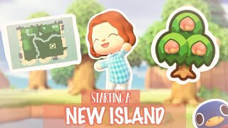 STARTING A NEW ISLAND 🏝 Day 1  Animal Crossing New Horizons [upl. by Astra]