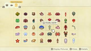 All Sea Creatures in Animal Crossing New Horizons  Complete Sea Creature Critterpedia [upl. by Odnalor]