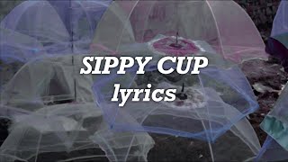 Melanie Martinez  Sippy Cup Lyrics [upl. by Lithea585]