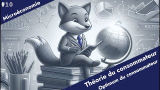 Microéconomie  Théorie du consommateur 10  Choix du consommateur [upl. by Suirtimed]