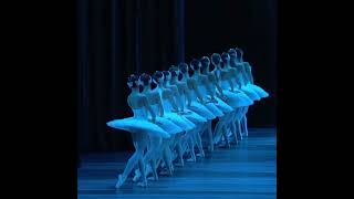 Beautiful Bolshois corps de ballet in Swan Lake [upl. by Ros]