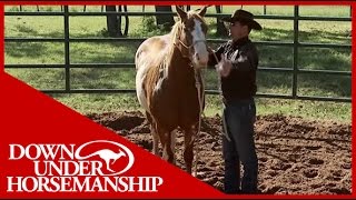 Clinton Anderson Headshy A Fundamental Fix Part 2  Downunder Horsemanship [upl. by Aicemak]