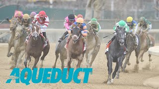 Aqueduct Simulcasting  January 11 2024 [upl. by Dosia544]