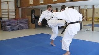 KARATE  Tiger Karate  Shotokan and mix of martial arts [upl. by Anera]