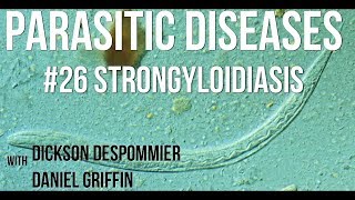 Parasitic Diseases Lectures 26 Strongyloidiasis [upl. by Leinnad446]