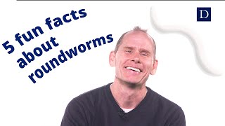 5 Fun Facts about Roundworms [upl. by Ferna]