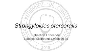 Strongyloides stercoralis [upl. by Ah]