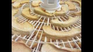 How to Dehydrate Apples [upl. by Countess898]