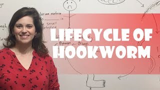 Lifecycle of Hookworm [upl. by Ger]