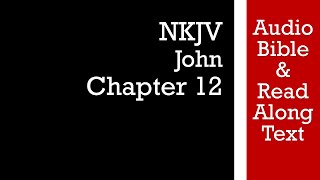 John 12  NKJV Audio Bible amp Text [upl. by Sukin]