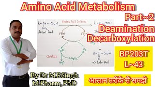 Deamination amp Decarboxylation  Amino Acid Metabolism  Biochemistry  BP203T  L43 [upl. by Inimak]