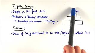 Ecology  Food Chains and Food Webs  GCSE Biology 91 [upl. by Anawot646]