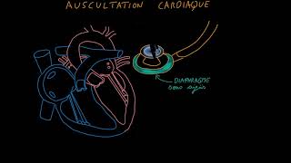 Auscultation cardiaque Partie 1 Introduction Docteur Synapse [upl. by Dracir]