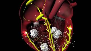 Digoxin for Arrhythmias irregular heartbeat [upl. by Ensoll212]