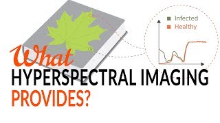 What Hyperspectral Imaging provides  Tutorial [upl. by Nagey]