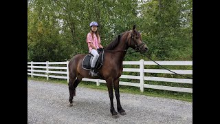 My first horseback riding lesson [upl. by Shriner655]