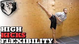 How to Kick Higher Stretching for Head Kick Flexibility [upl. by Deibel]