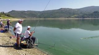 Pesca allInglese al Lago di Corbara [upl. by Nitsirc]