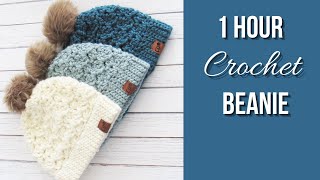 1 Hour Crochet Beanie Easy Pattern [upl. by Ermey341]