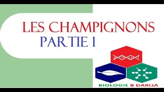 cours biologie végétale les champignons 1 [upl. by Romelle]