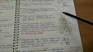 Transduction Genetic recombination in bacteria [upl. by Tammie]