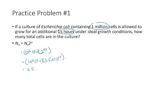 Calculating Number of Bacterial Cells [upl. by Aushoj550]