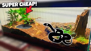 Corn Snake Setup CHEAP AND EASY [upl. by Eberle]