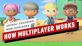 How Multiplayer Works in Animal Crossing New Horizons [upl. by Mathre]