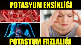 SİNİR SİSTEMİ VE KALP DOSTU POTASYUM [upl. by Dollie]